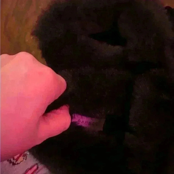 Slip on fuzzy shoes - Picture 3 of 3